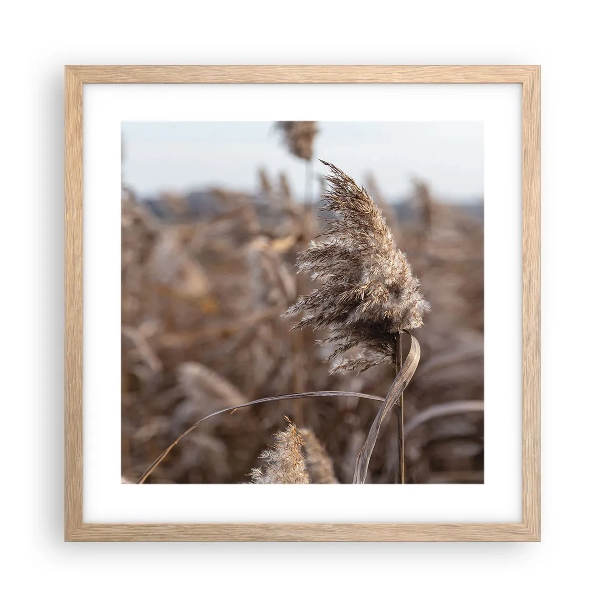 Póster en marco roble claro - Es hora de volar con el viento - 40x40 cm