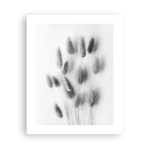 Póster - Esponjas naturales - 40x50 cm
