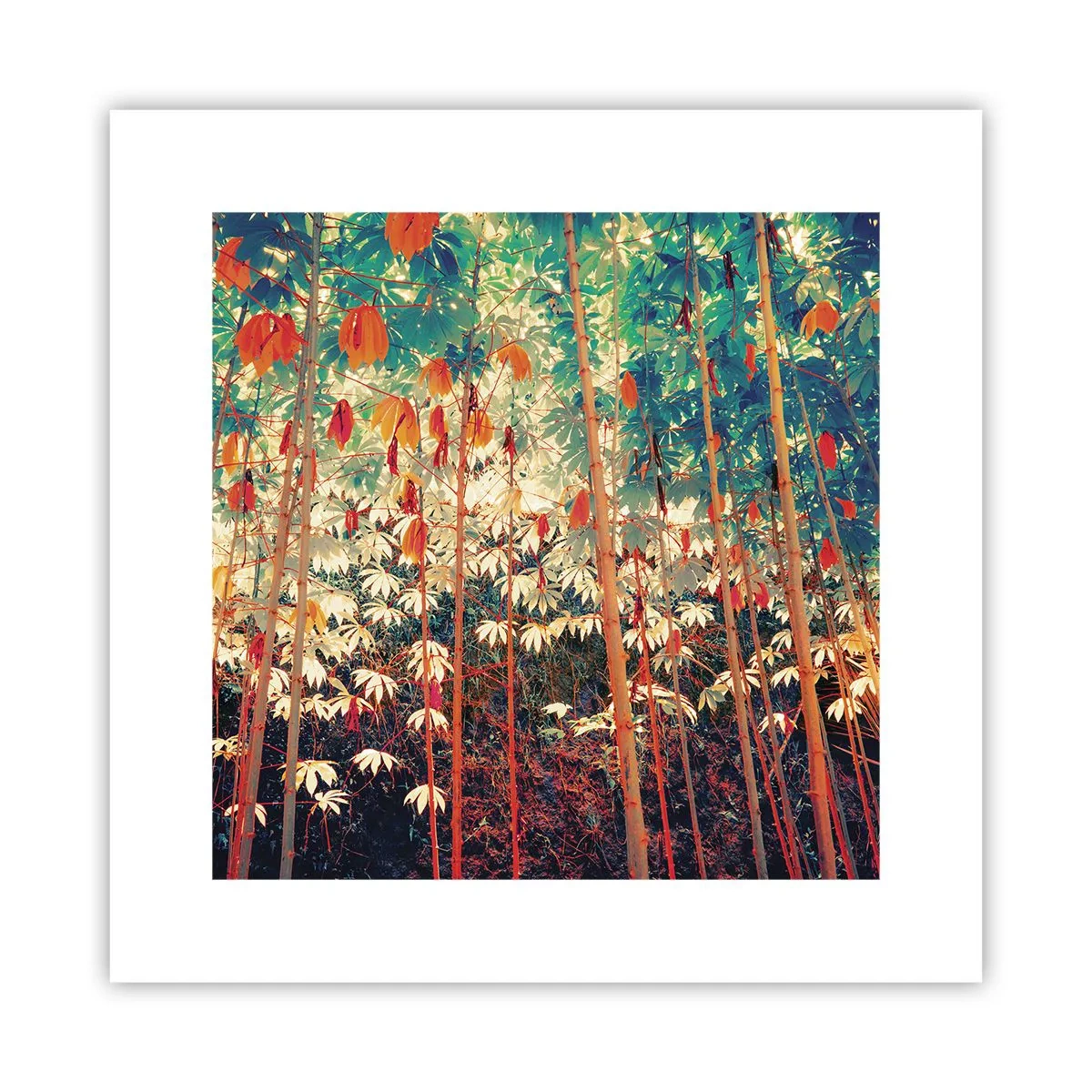 Póster - La vida secreta de las hojas - 30x30 cm