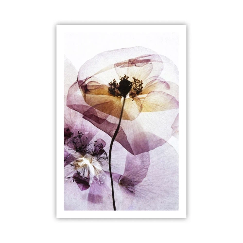 Póster - Cuerpo de flor - 61x91 cm