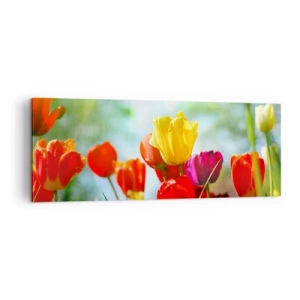 Cuadro sobre lienzo - Impresión de Imagen - Tulipanes coloridos bajo el sol - 140x50cm - Todos los tonos del sol - Decoración de pared moderna para salón y dormitorio ARTTOR