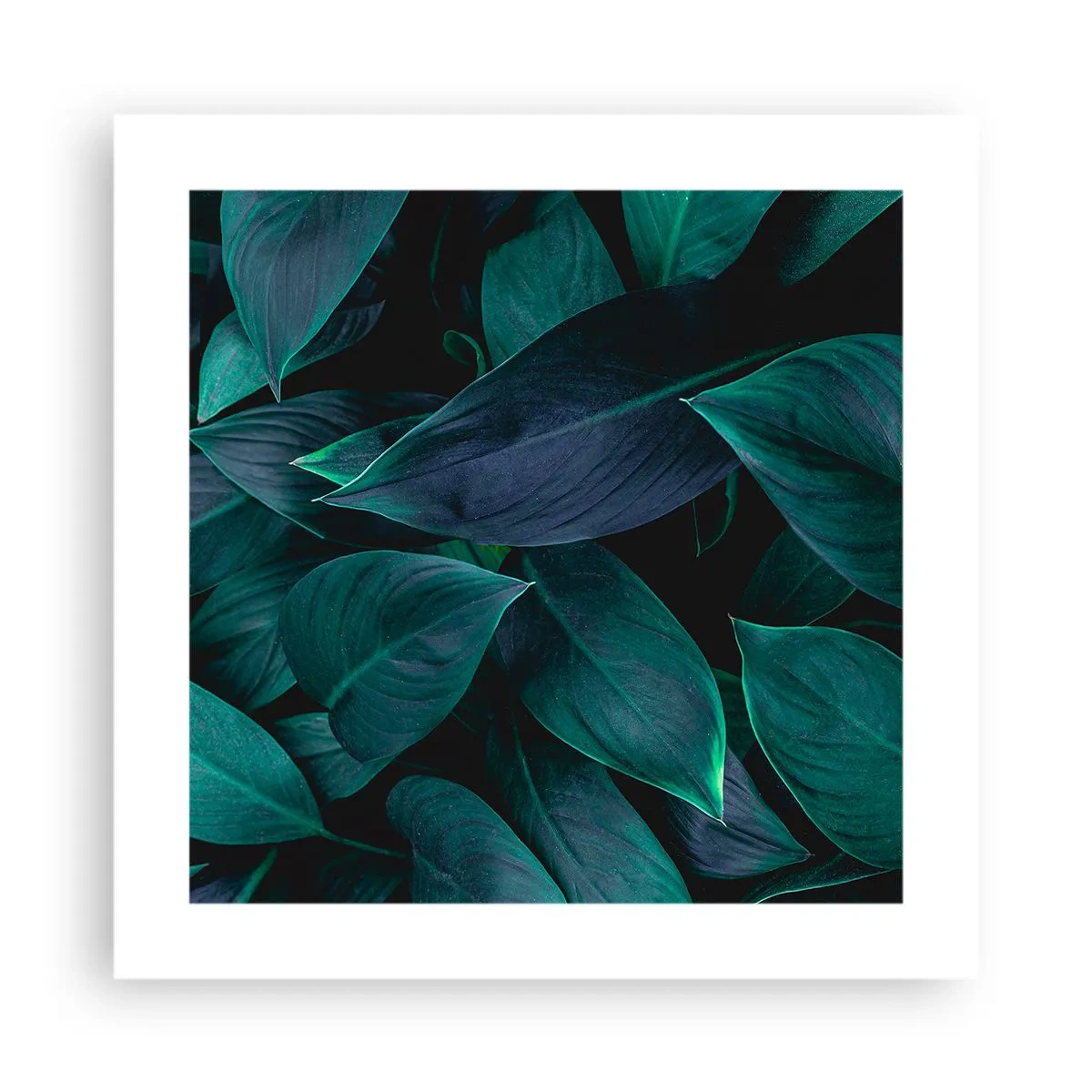 Póster - El propio verde - 40x40 cm