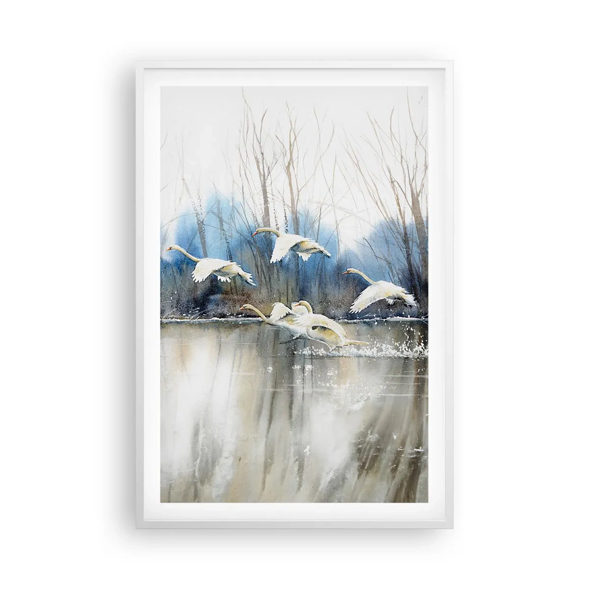 Póster en marco blanco - Como en un cuento de cisnes salvajes - 61x91 cm