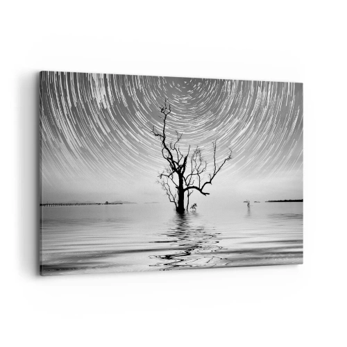 Cuadro sobre lienzo - Impresión de Imagen - Un árbol en el agua bajo un cielo nocturno con estrellas en movimiento. - 100x70cm - Una sinfonía de la naturaleza - Decoración de pared moderna para salón y dormitorio ARTTOR