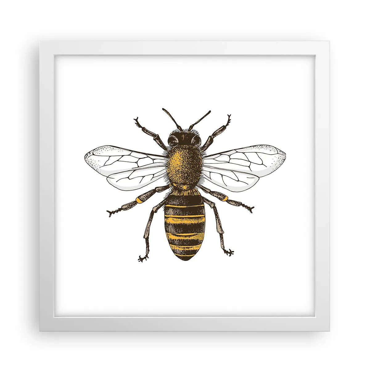 Póster en marco blanco - Bondad natural - 30x30 cm