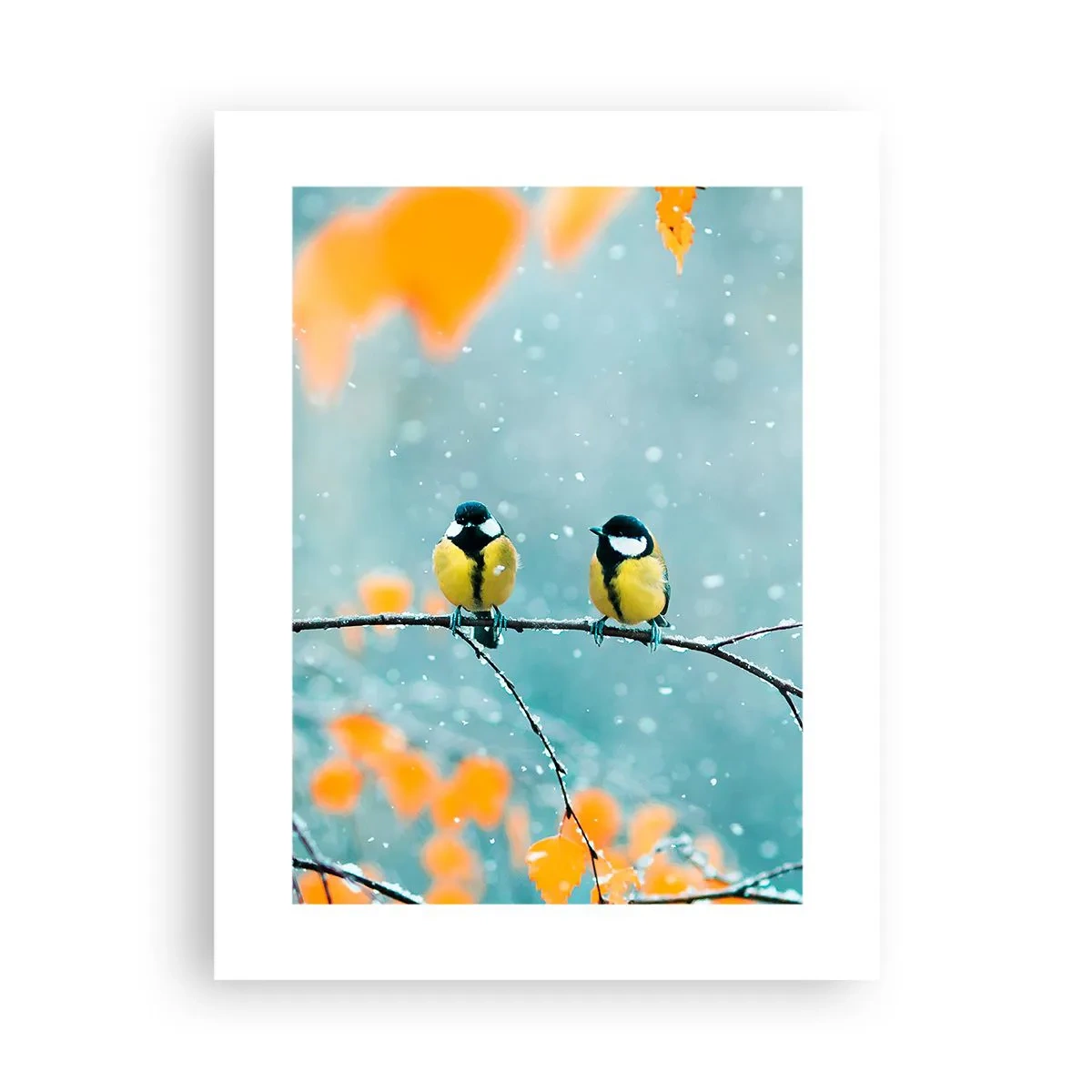 Póster - Cotilleo de pájaros - 30x40 cm