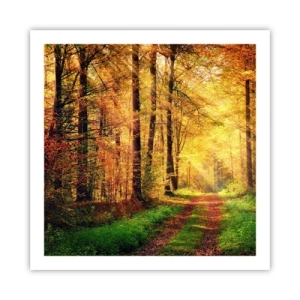 Póster - Silencio dorado del bosque - 60x60 cm