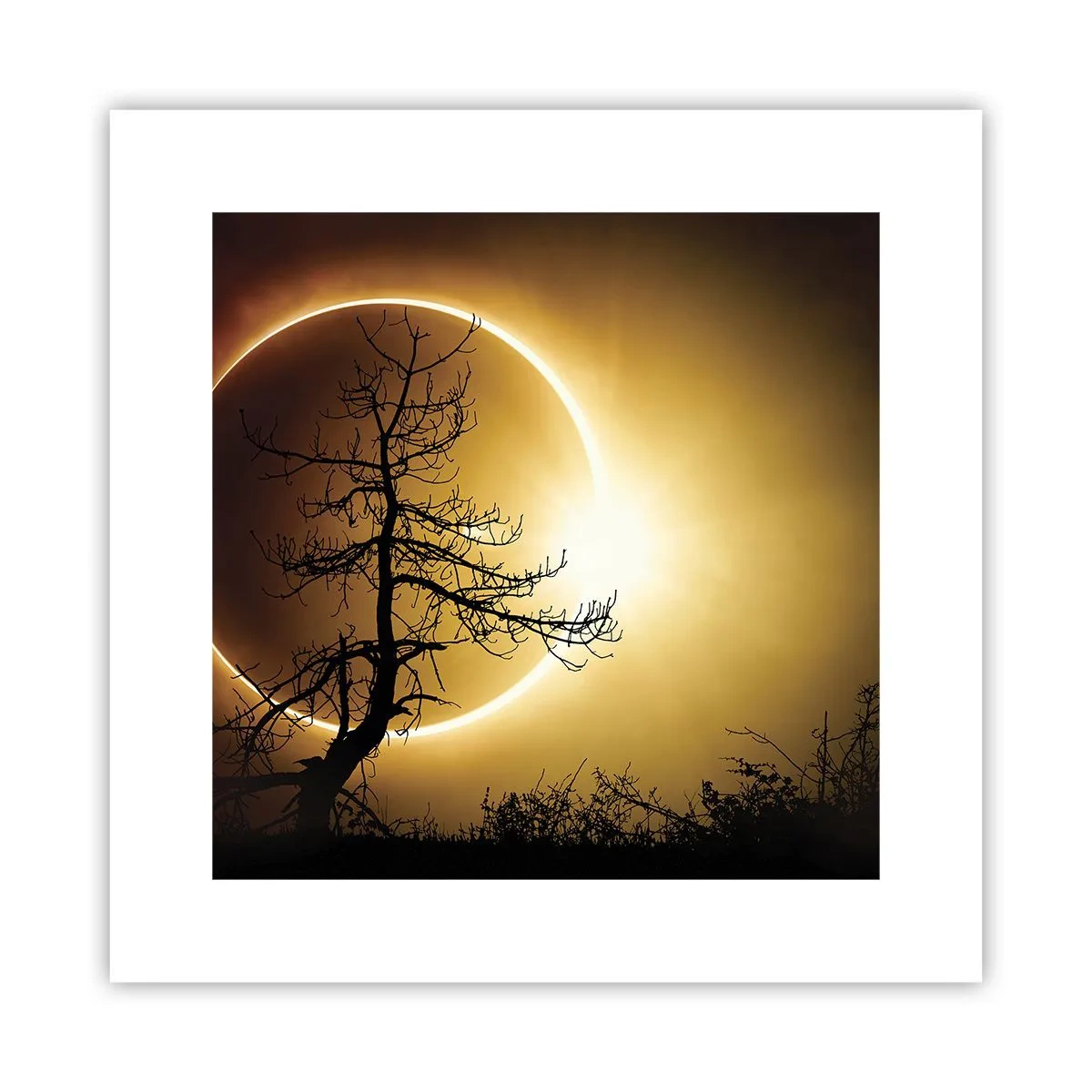 Póster - Eclipse total - 30x30 cm
