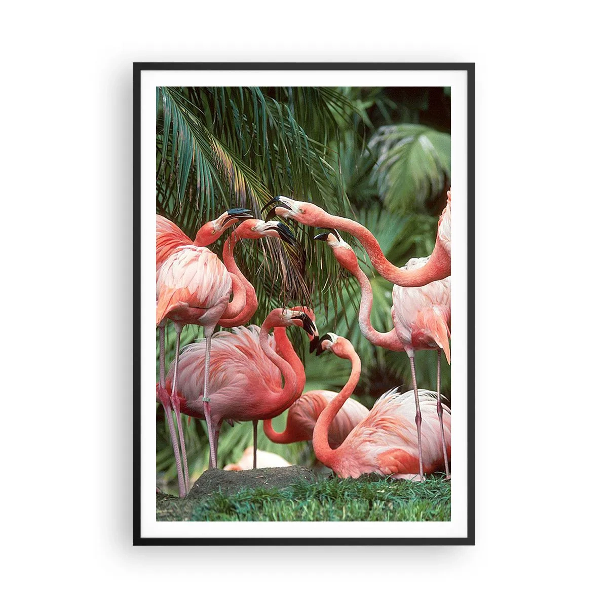 Póster en marco negro - Cotilleos de la tarde - 70x100 cm