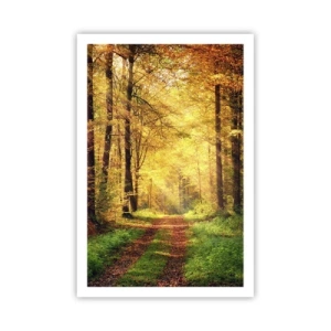 Póster - Silencio dorado del bosque - 61x91 cm
