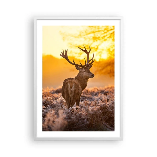 Póster en marco blanco - Rey del bosque de otoño - 50x70 cm