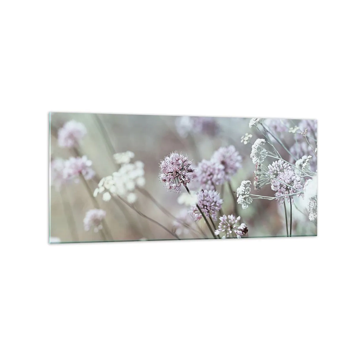 Cuadro sobre vidrio - Impresiones sobre Vidrio - Delicadas flores en tonos pastel. - 120x50cm - Dulces filigranas de hierbas - Decoración de pared moderna para salón y dormitorio ARTTOR