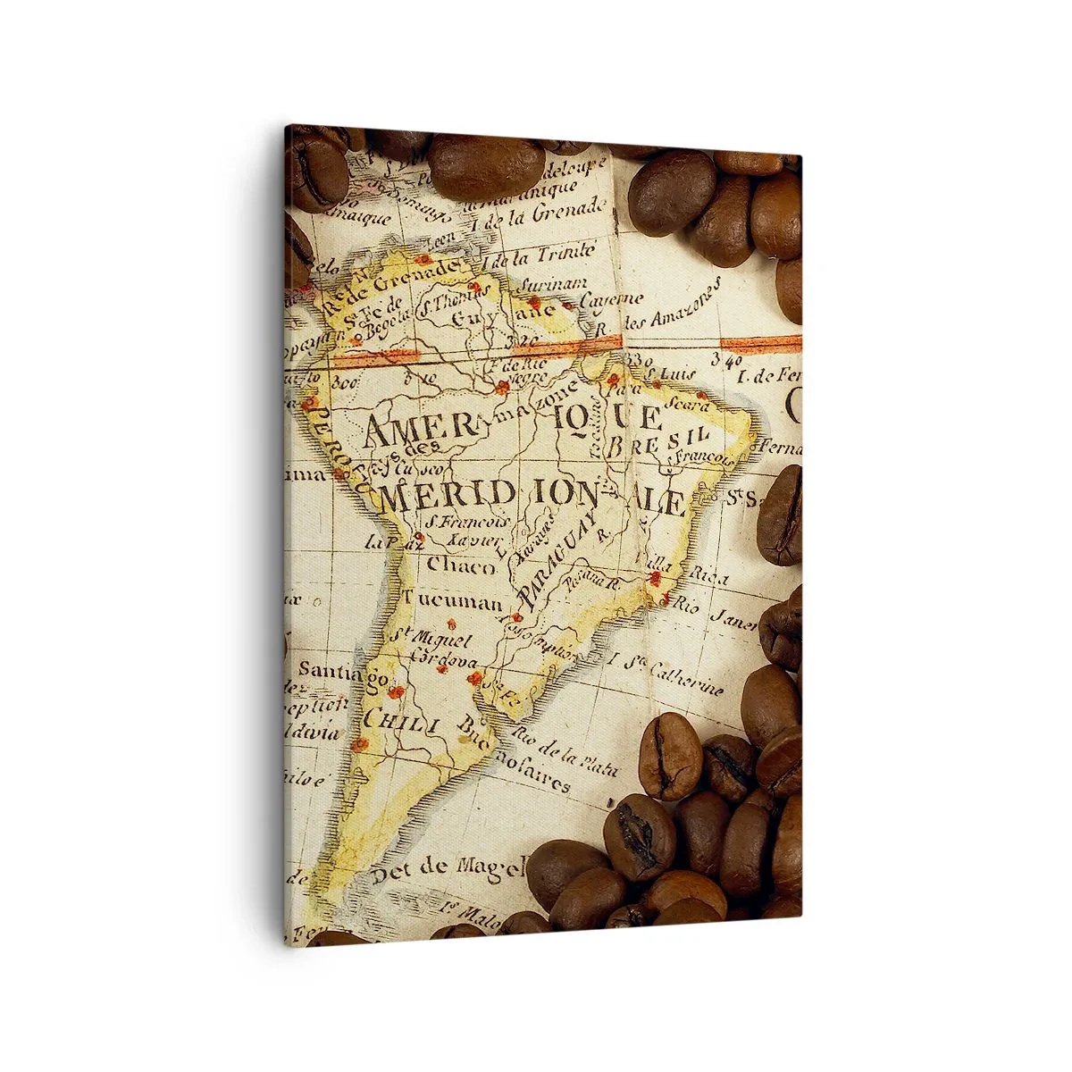 Cuadro sobre lienzo - Impresión de Imagen - Un mapa de Sudamérica rodeado de granos de café. - 50x70cm - ¿De dónde viene el mejor café? - Decoración de pared moderna para salón y dormitorio ARTTOR