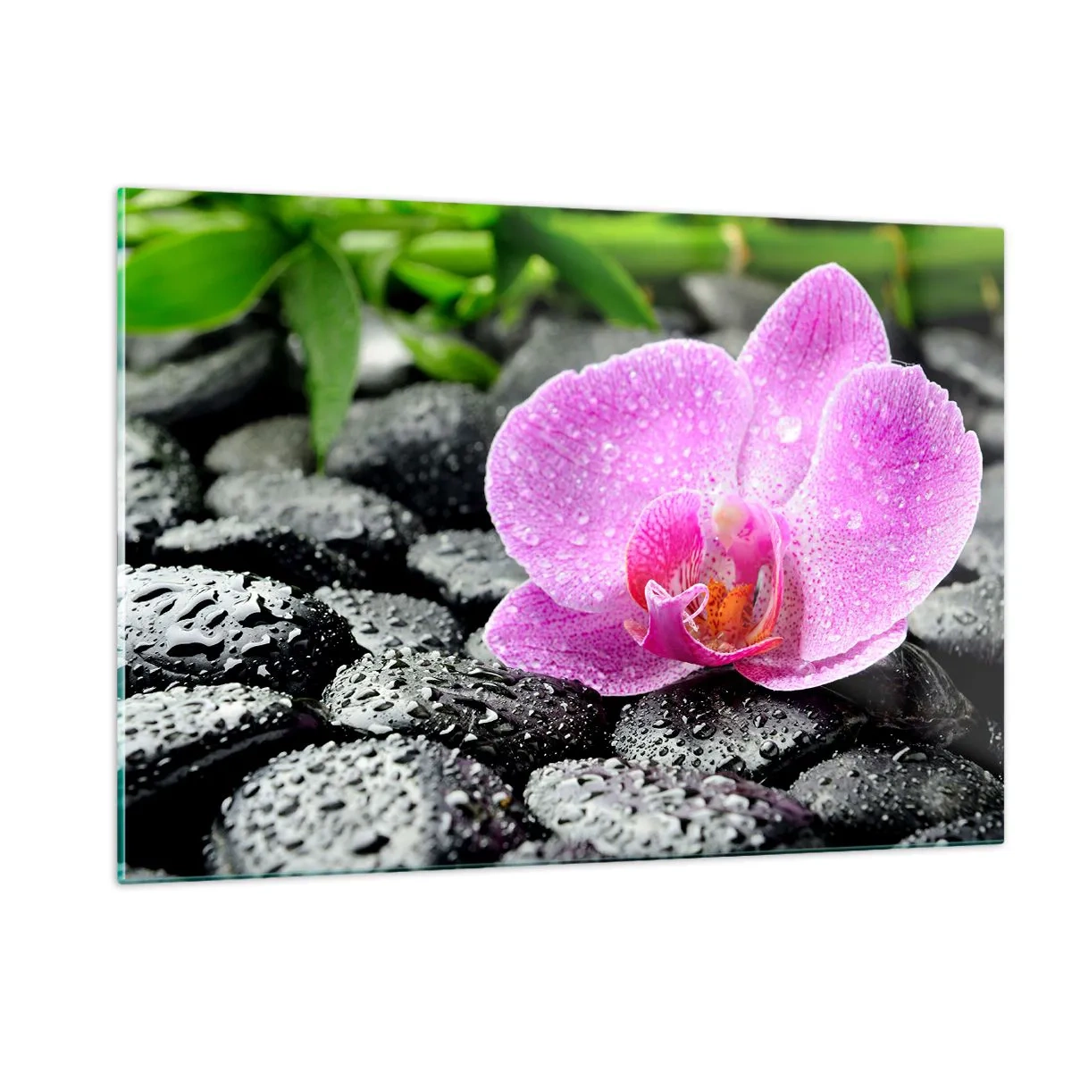 Cuadro sobre vidrio - Impresiones sobre Vidrio - Flor de orquídea rosa sobre piedras negras mojadas - 120x80cm - Como un corazón abierto - Decoración de pared moderna para salón y dormitorio ARTTOR
