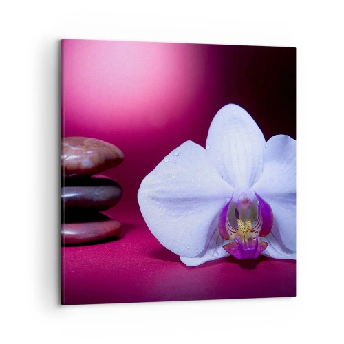 Cuadro sobre lienzo - Impresión de Imagen - Estudio de frescura en violeta - 50x50 cm