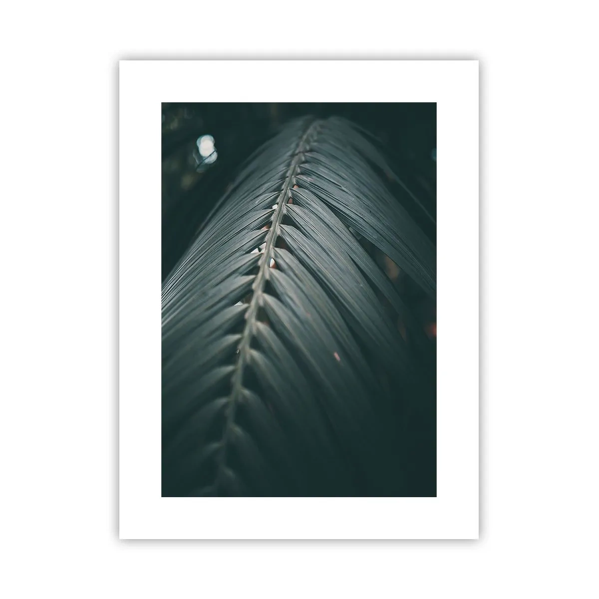 Póster - La precisión de la naturaleza - 30x40 cm