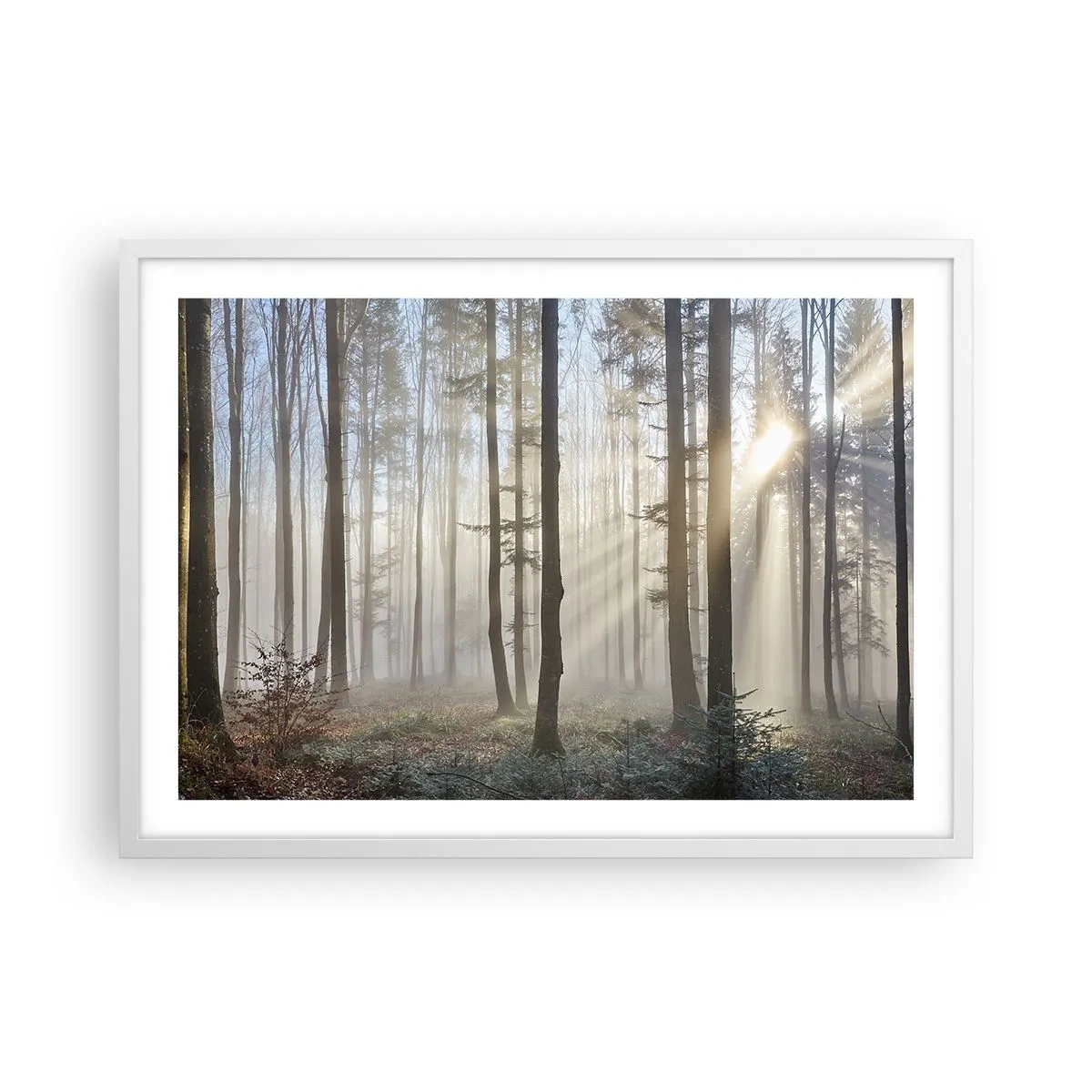 Póster en marco blanco - La niebla también está despierta - 70x50 cm