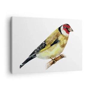 Cuadro sobre lienzo - Impresión de Imagen - Un pájaro con la cabeza roja en una rama. - 70x50cm - Retrato de pájaro - Decoración de pared moderna para salón y dormitorio ARTTOR