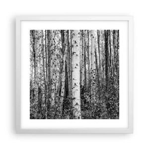 Póster en marco blanco - Columnas de abedules - 40x40 cm