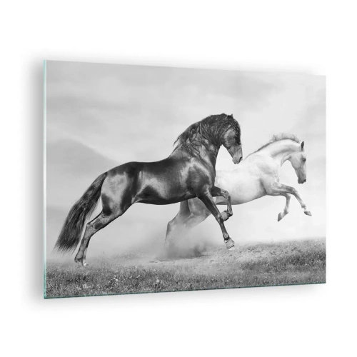 Cuadro sobre vidrio - Impresiones sobre Vidrio - Caballos blancos y negros en un entorno dinámico. - 70x50cm - Ángeles y demonios - Decoración de pared moderna para salón y dormitorio ARTTOR