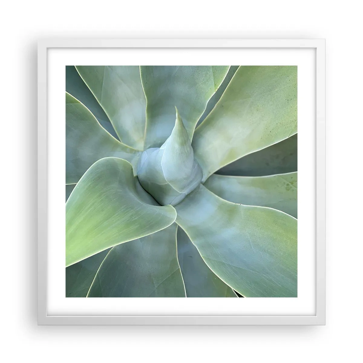 Póster en marco blanco - El nacimiento del verde - 50x50 cm