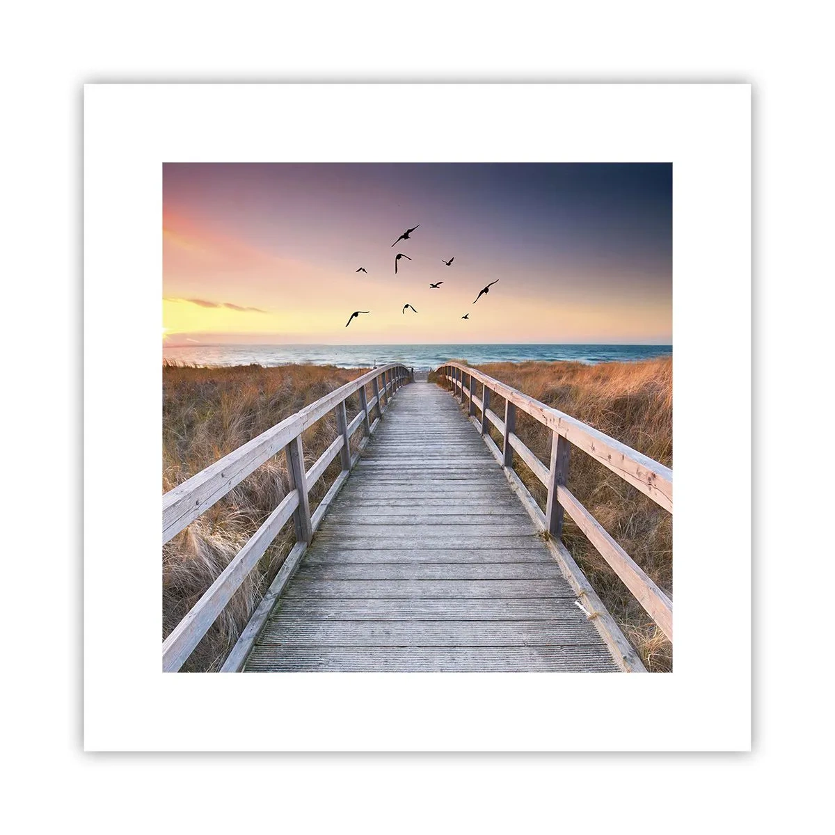 Póster - Camino a lo desconocido - 30x30 cm