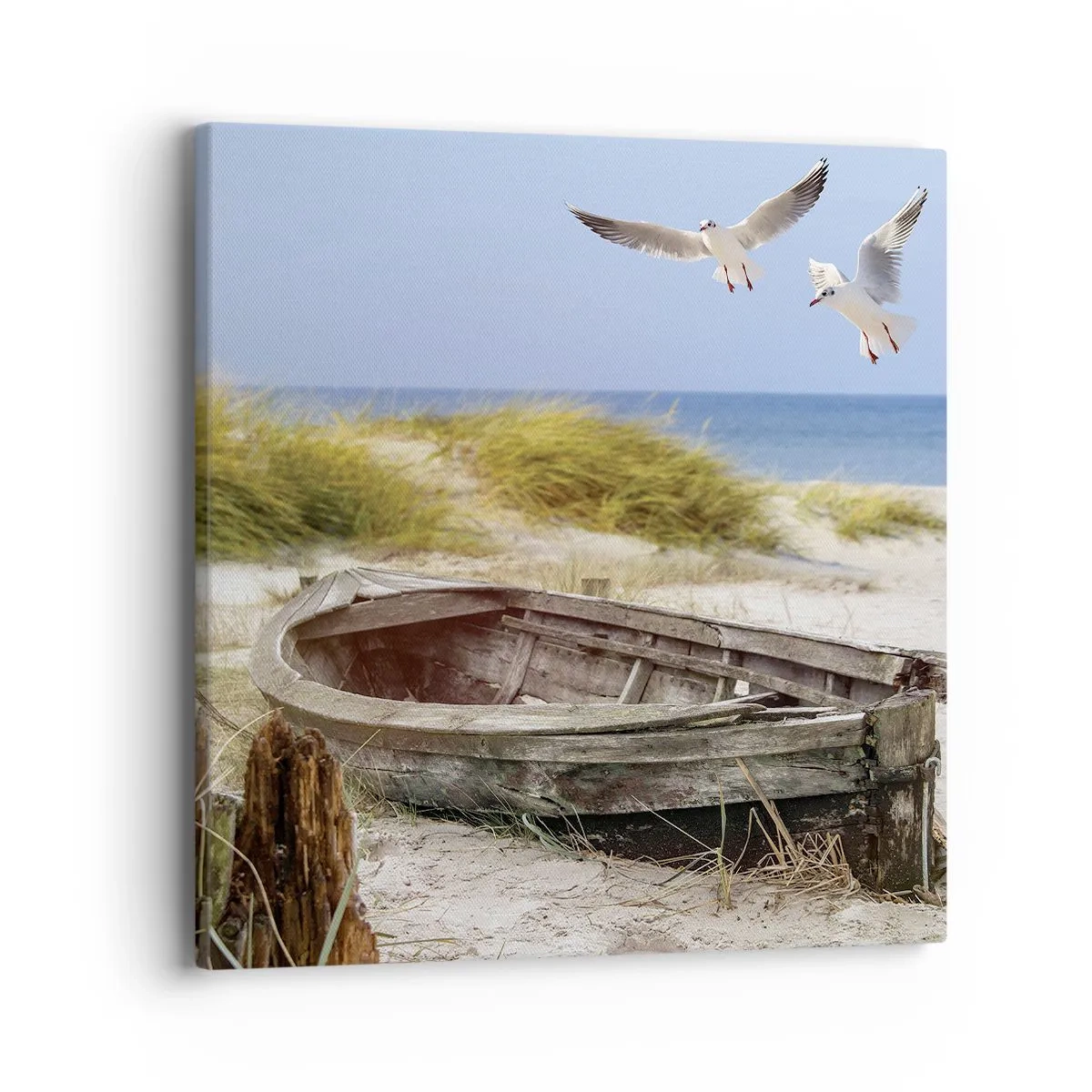 Cuadro sobre lienzo - Impresión de Imagen - Bañada por el viento - 40x40 cm