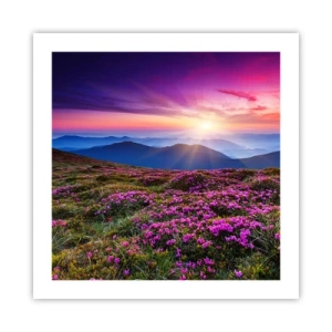 Póster - Dulce aroma a frescura - 50x50 cm