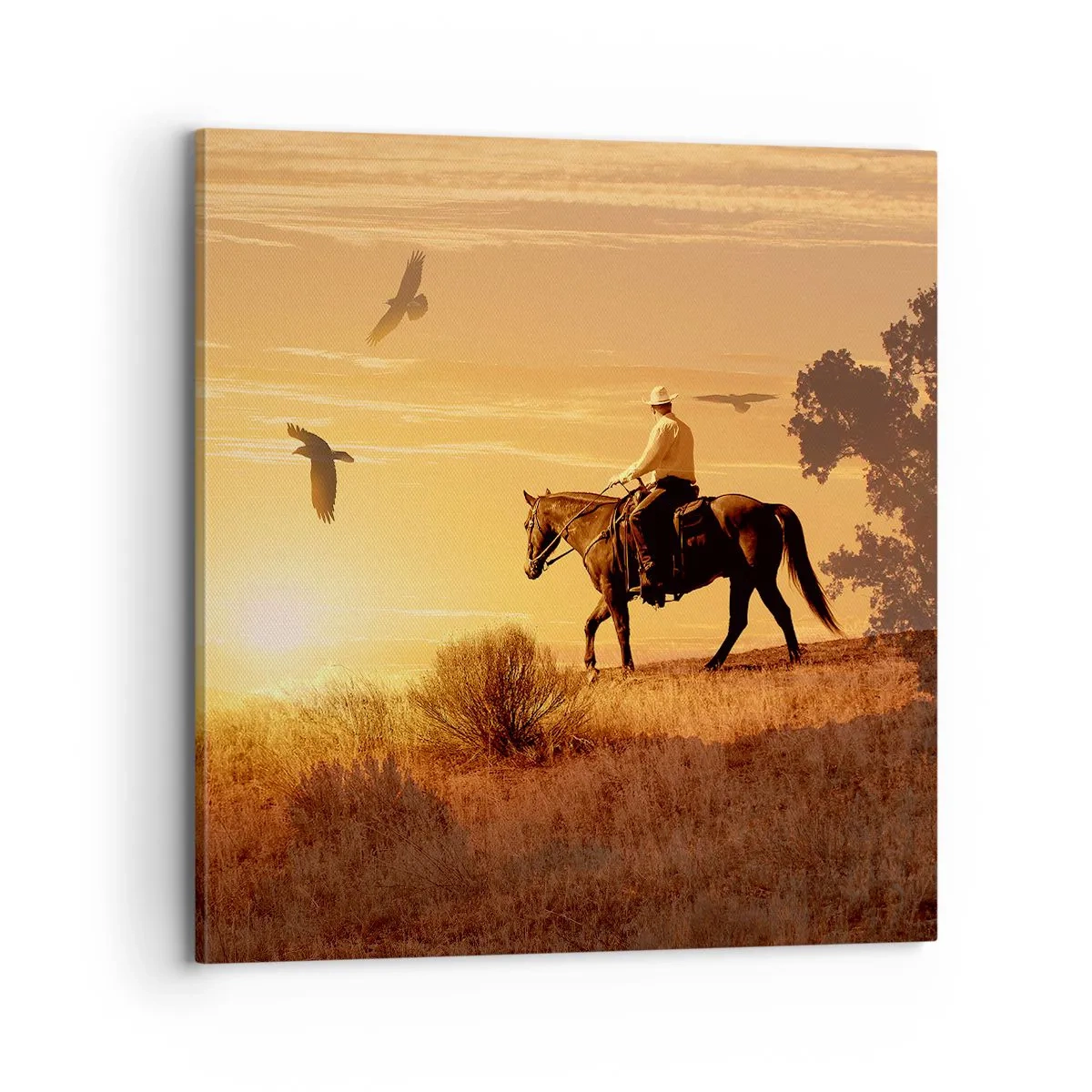 Cuadro sobre lienzo - Impresión de Imagen - Solo a través de la pradera - 70x70 cm