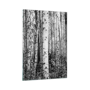 Cuadro sobre vidrio - Impresiones sobre Vidrio - Los abedules blancos y negros crean un denso paisaje forestal. - 50x70cm - Columnas de abedules - Decoración de pared moderna para salón y dormitorio ARTTOR