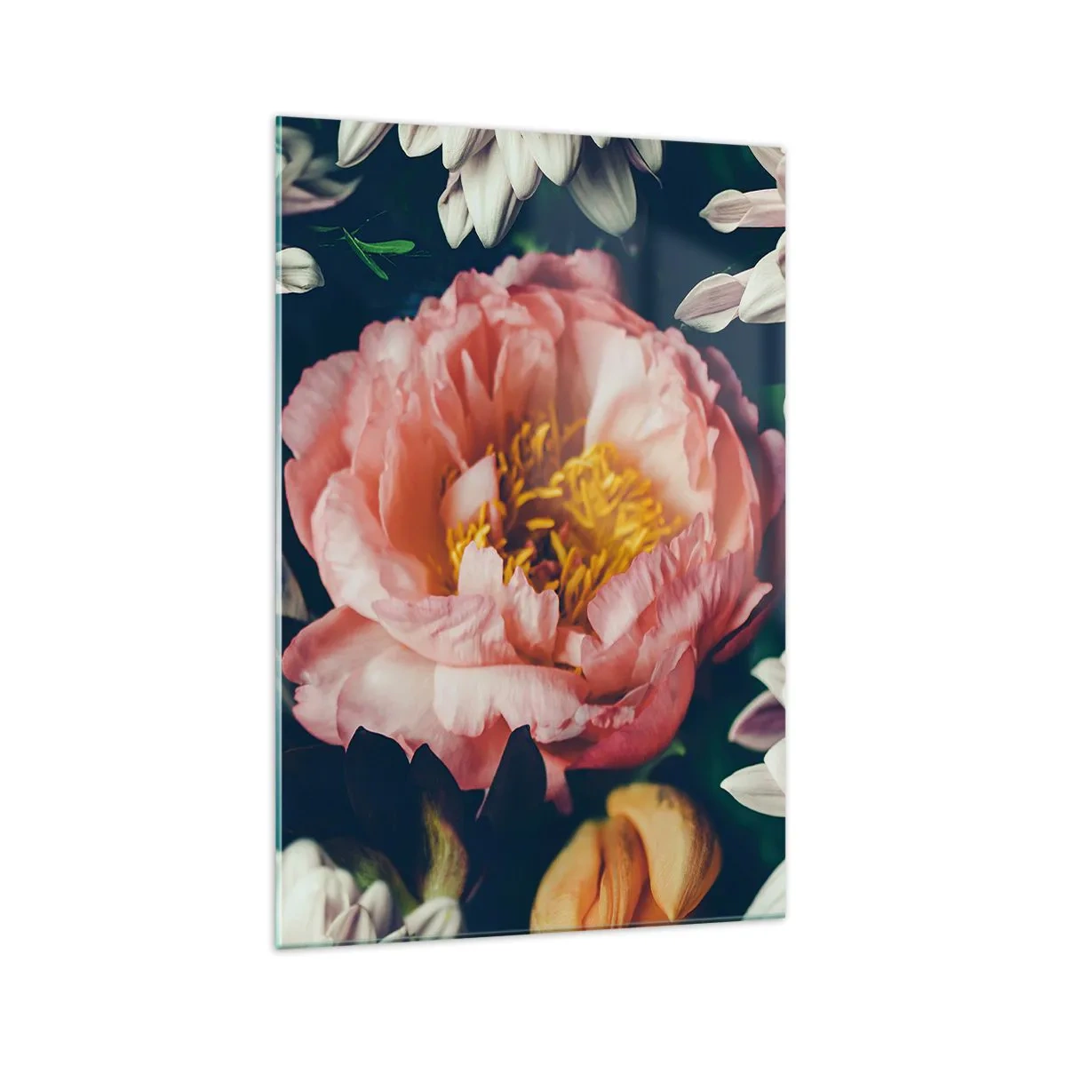 Cuadro sobre vidrio - Impresiones sobre Vidrio - Arreglo floral con peonías y crisantemos sobre fondo oscuro. - 70x100cm - Con esplendor barroco - Decoración de pared moderna para salón y dormitorio ARTTOR