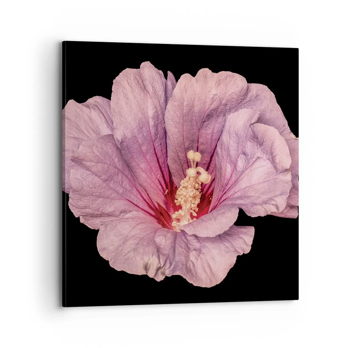 Cuadro sobre lienzo - Impresión de Imagen - Directo al corazón - 70x70 cm