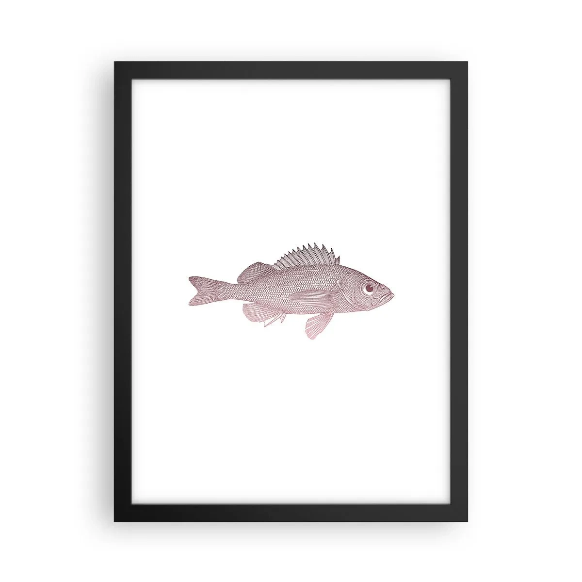 Póster en marco negro - Pez de ojos grandes - 30x40 cm