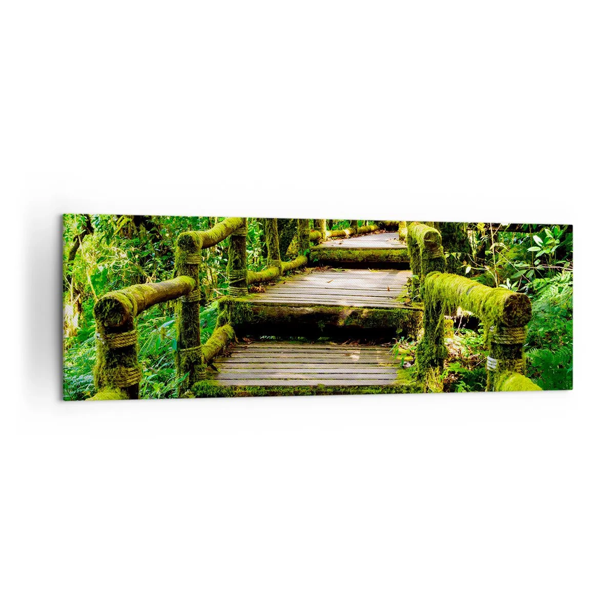 Cuadro sobre lienzo - Impresión de Imagen - Un puente de madera cubierto de musgo en una selva tropical. - 160x50cm - A través de un corredor verde - Decoración de pared moderna para salón y dormitorio ARTTOR