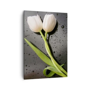 Cuadro sobre lienzo - Impresión de Imagen - Tulipanes blancos sobre fondo negro con gotas de agua. - 50x70cm - Primavera - Decoración de pared moderna para salón y dormitorio ARTTOR