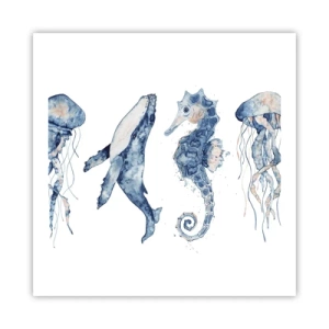 Póster - Fauna marina - 60x60 cm