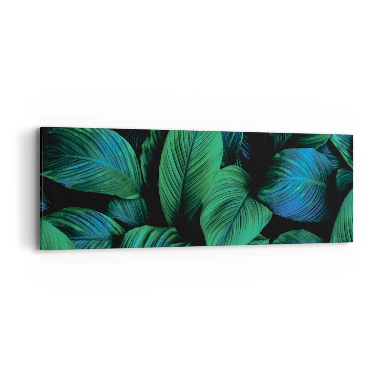 Cuadro sobre lienzo - Impresión de Imagen - En la multitud verde - 90x30 cm