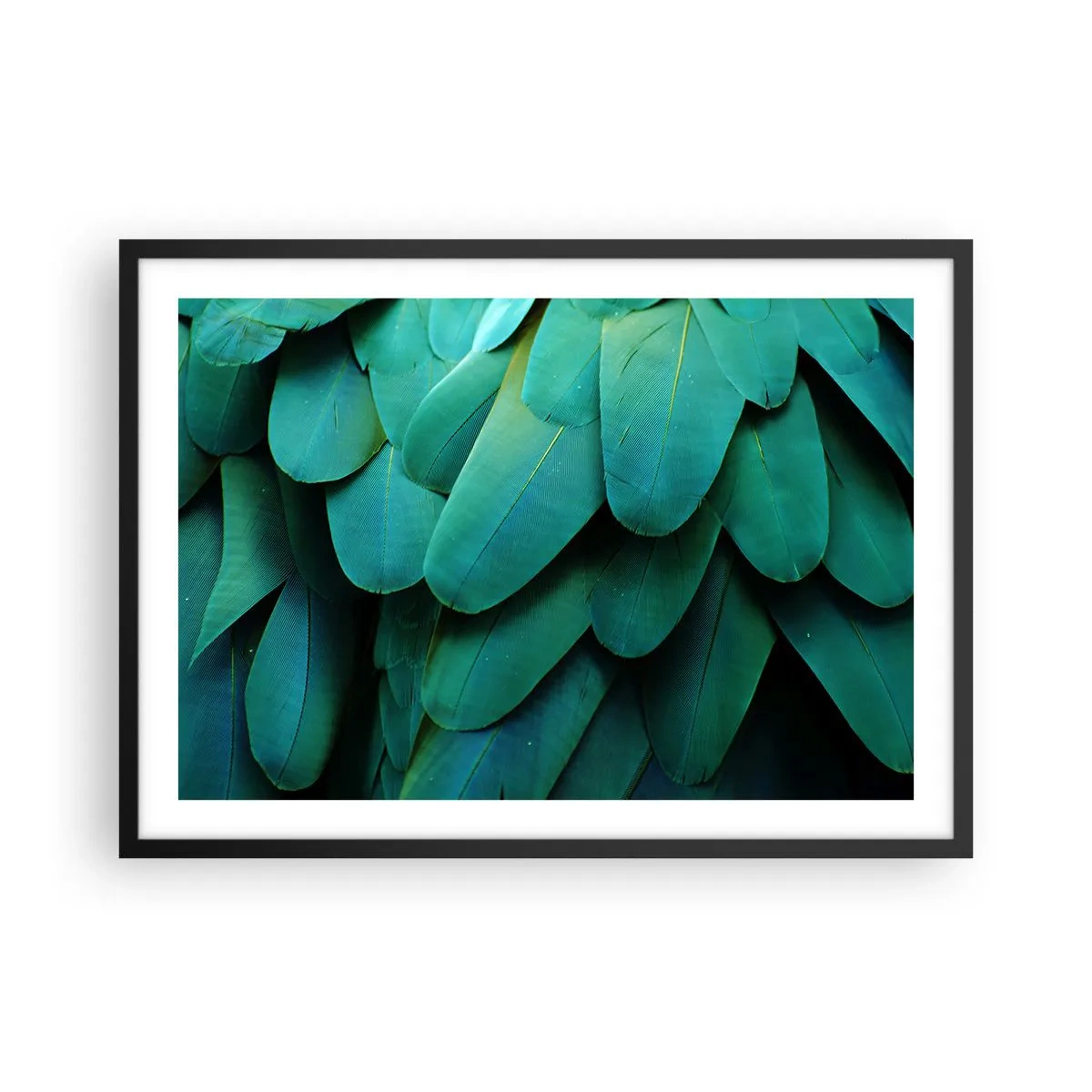 Póster en marco negro - Detalle de plumas en tonos verdes. - 70x50cm - La precisión de la naturaleza - Decoración de pared moderna para salón y dormitorio ARTTOR