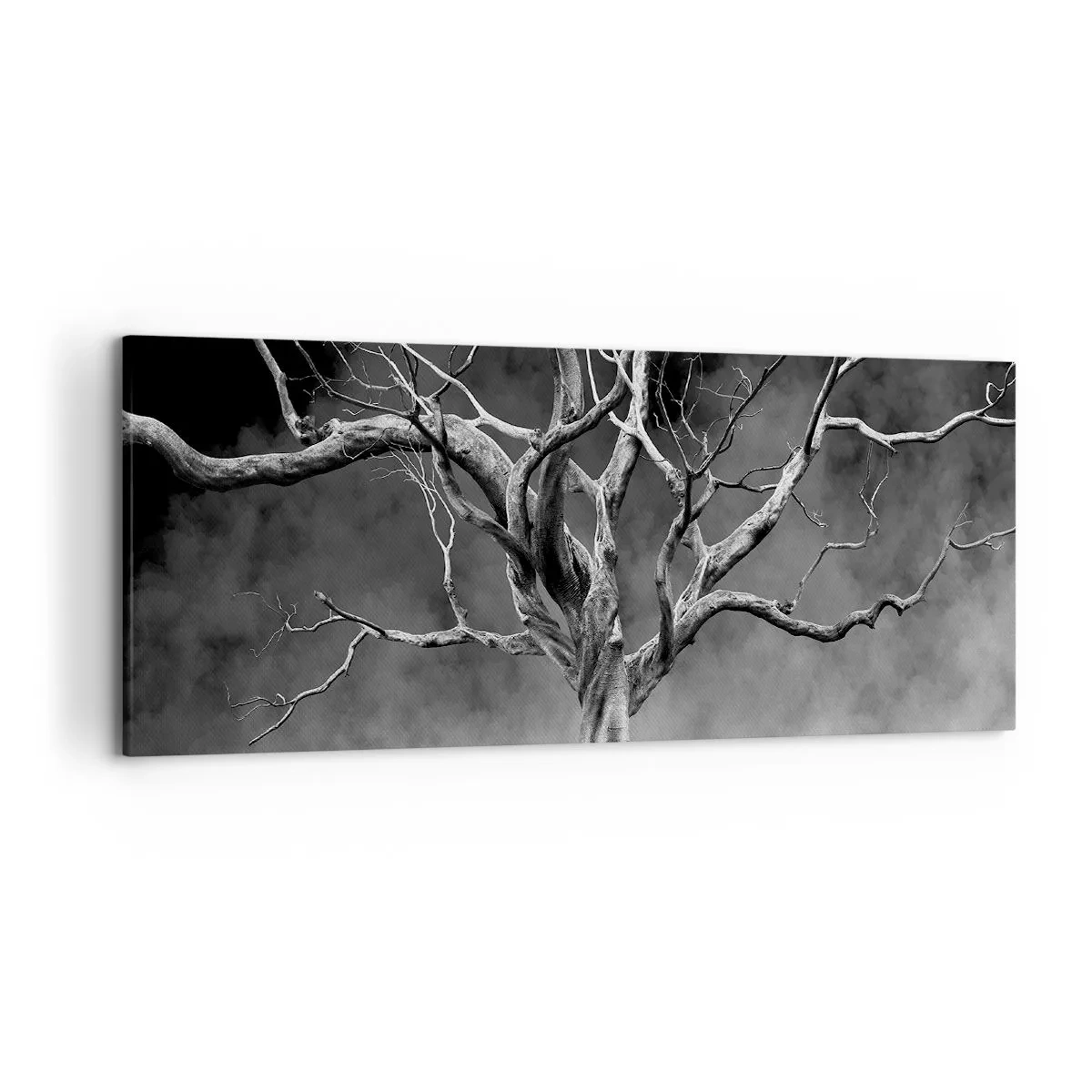 Cuadro sobre lienzo - Impresión de Imagen - Un árbol seco en blanco y negro contra la niebla. - 120x50cm - Primordial y sagrado - Decoración de pared moderna para salón y dormitorio ARTTOR