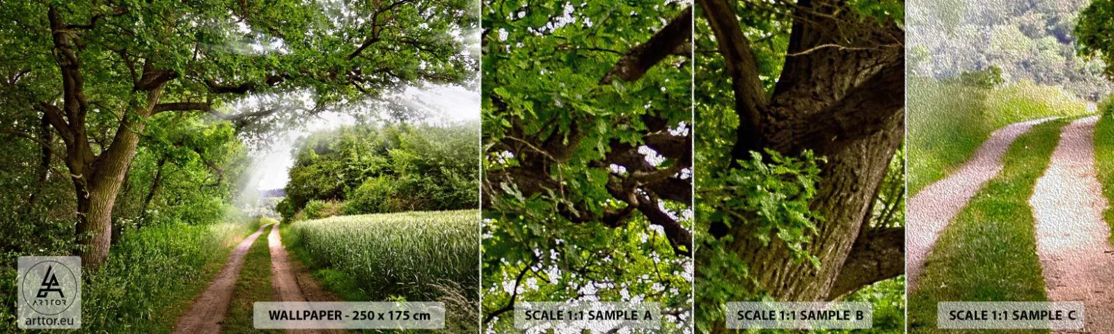 Muestra de fotomural Premium Sand - Ensueño - Paisaje, Camino de tierra, Naturaleza - 100x30 cm