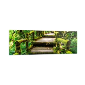 Cuadro sobre vidrio - Impresiones sobre Vidrio - Un puente de madera cubierto de musgo en una selva tropical. - 160x50cm - A través de un corredor verde - Decoración de pared moderna para salón y dormitorio ARTTOR