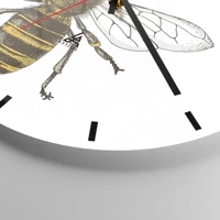 Esfera sin numeración, con rayas