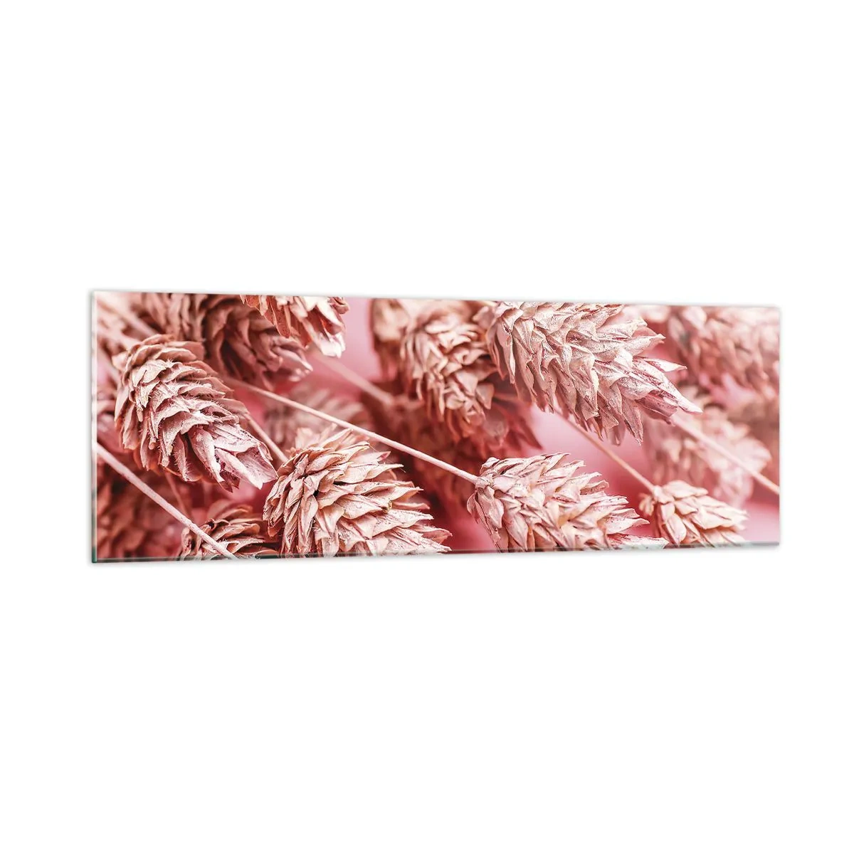 Cuadro sobre vidrio - Impresiones sobre Vidrio - Estructura floral en rosa - 90x30 cm