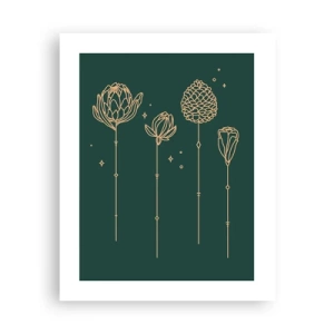 Póster - La familia vegetal - 40x50 cm