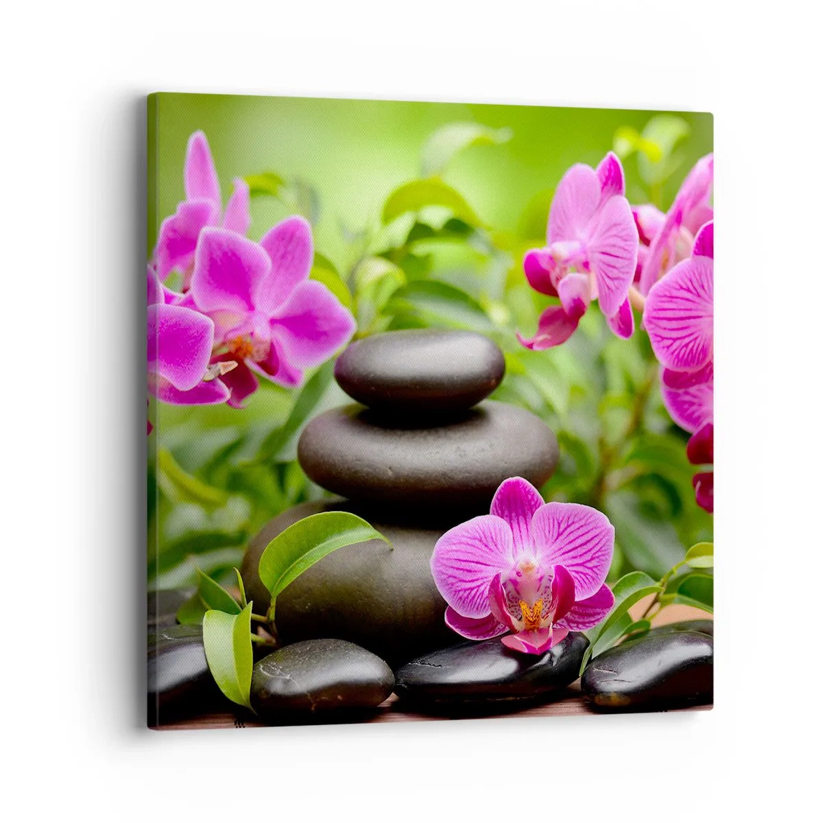 Cuadro sobre lienzo - Impresión de Imagen - Una pirámide de paz - 40x40 cm