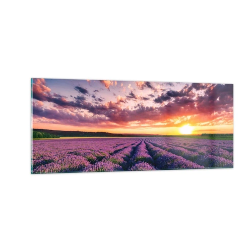 Cuadro sobre vidrio - Impresiones sobre Vidrio - El mundo de la lavanda - 100x40 cm