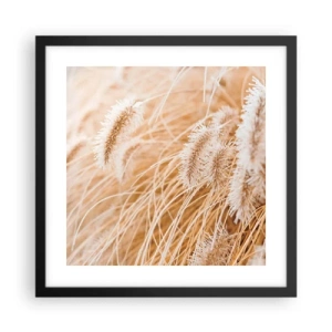 Póster en marco negro - El dorado susurro de las hierbas - 40x40 cm