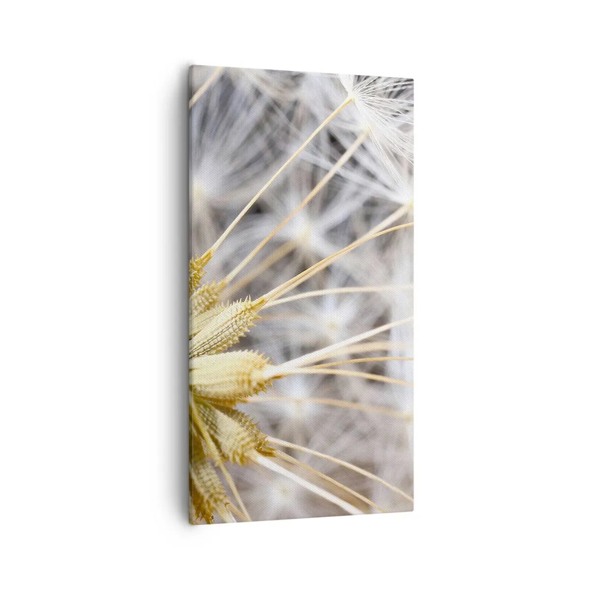 Cuadro sobre lienzo - Impresión de Imagen - Justo antes de volar - 55x100 cm