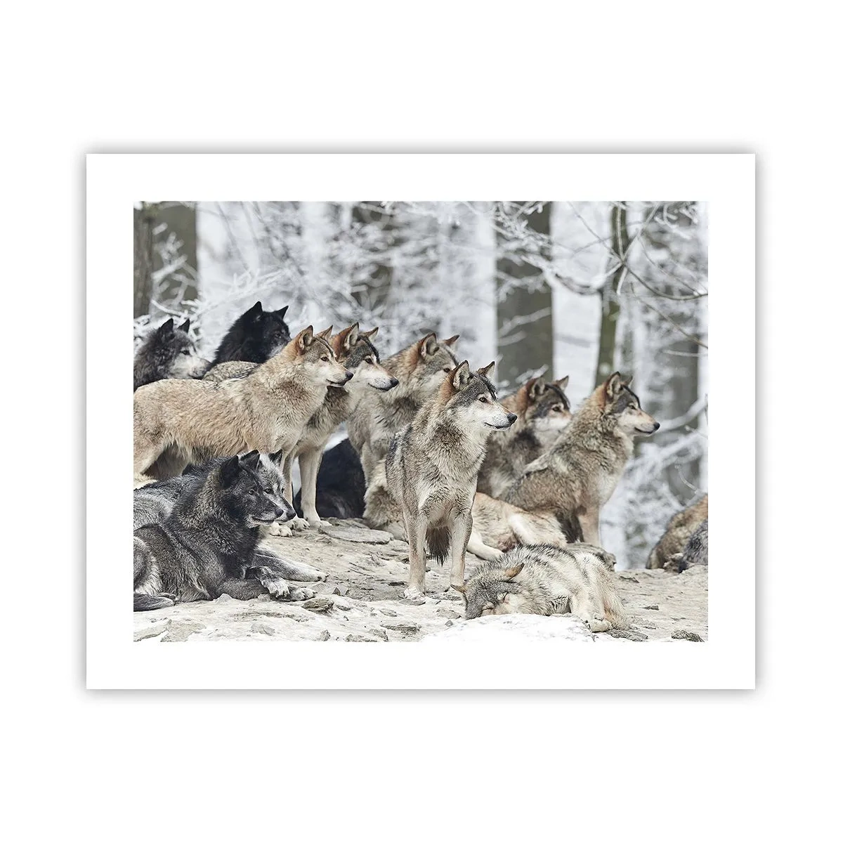 Póster - Familiares y amigos - 50x40 cm