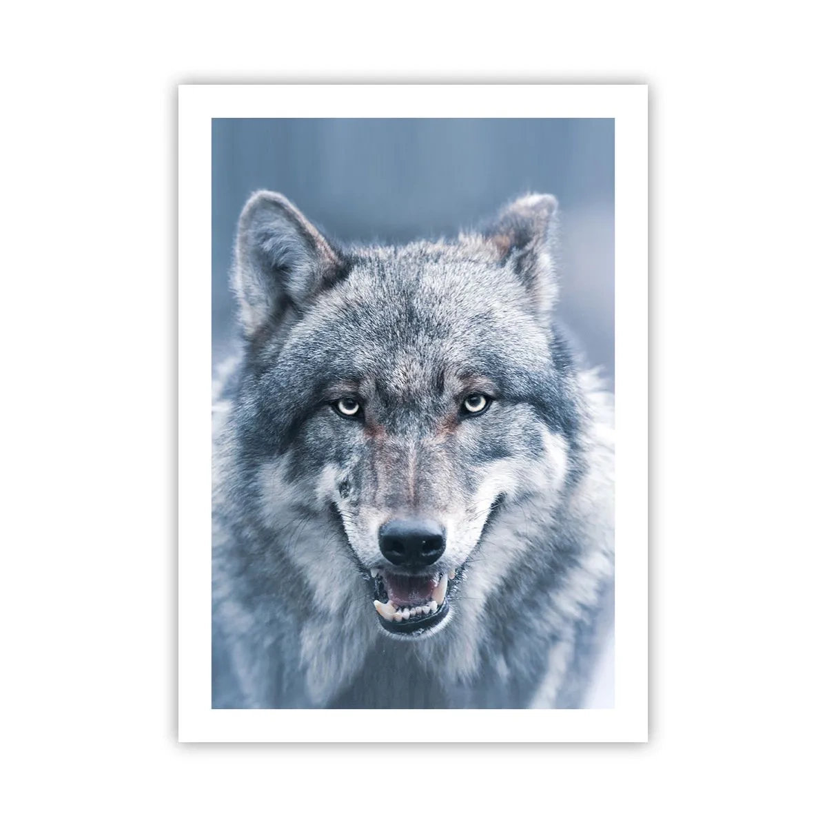 Póster - Retrato de un lobo frente a un paisaje invernal - 50x70cm - ¿Aceptarás el reto? - Decoración de pared moderna para salón y dormitorio ARTTOR